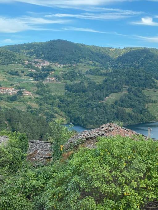 Casa Do Feligres E Da Alsira Villa Nogueira de Abaixo Dış mekan fotoğraf